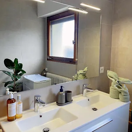 Appartement Tres Cosy A 5 Min Aeroport Geneve Ferney-Voltaire Exterior photo