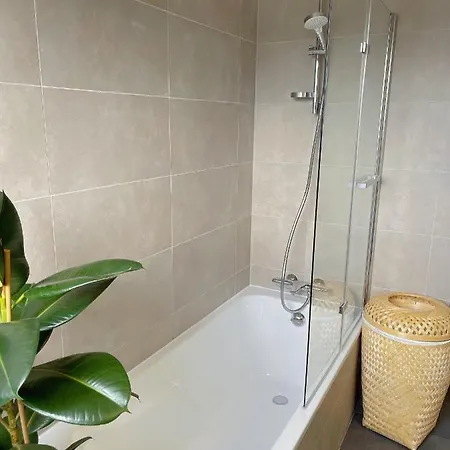 Appartement Tres Cosy A 5 Min Aeroport Geneve Ferney-Voltaire Exterior photo