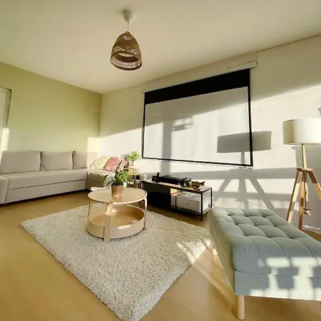 Appartement Tres Cosy A 5 Min Aeroport Geneve Ferney-Voltaire Exterior photo