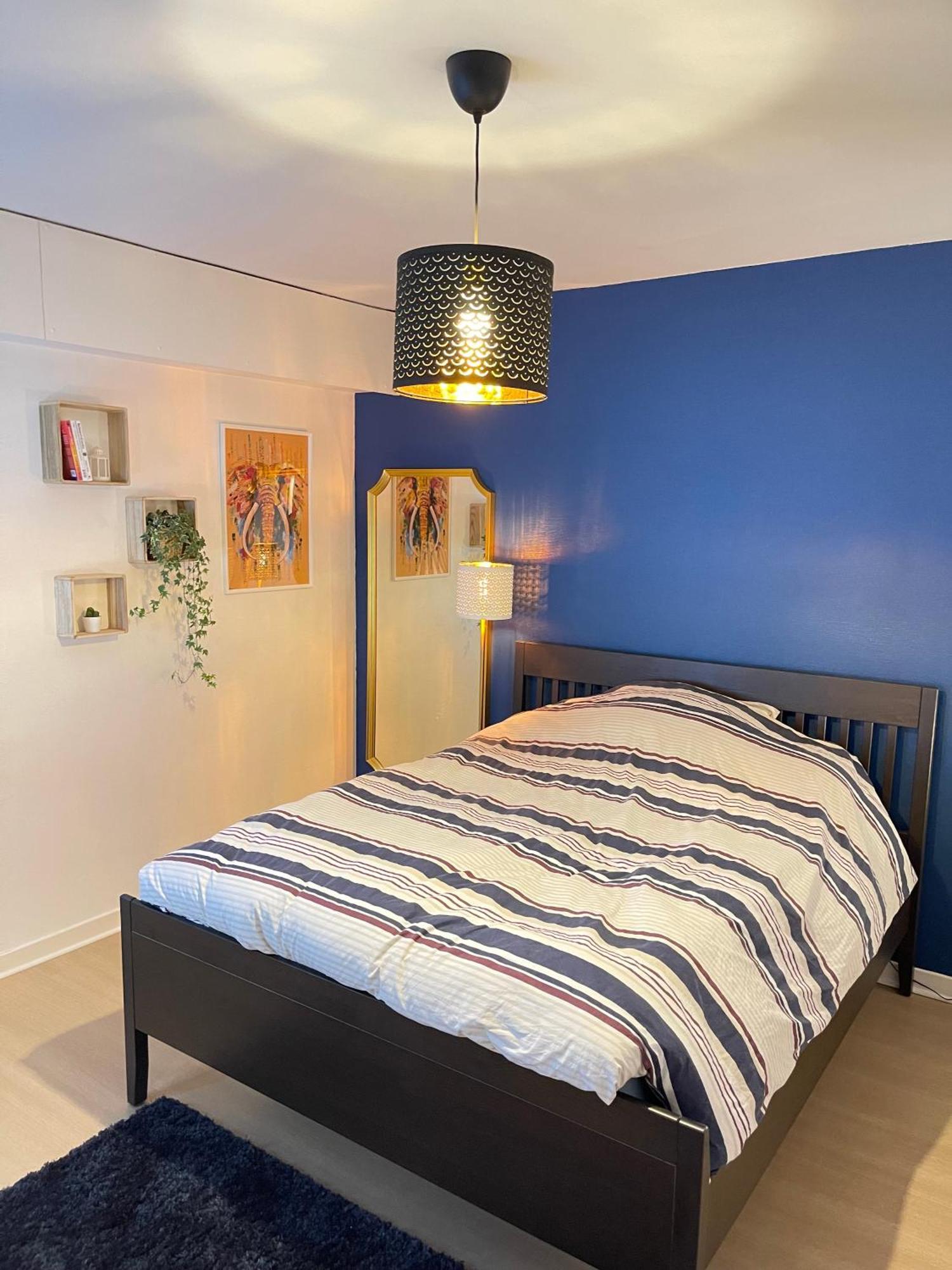 Tres Cosy A 5 Min Aeroport Geneve Apartment *