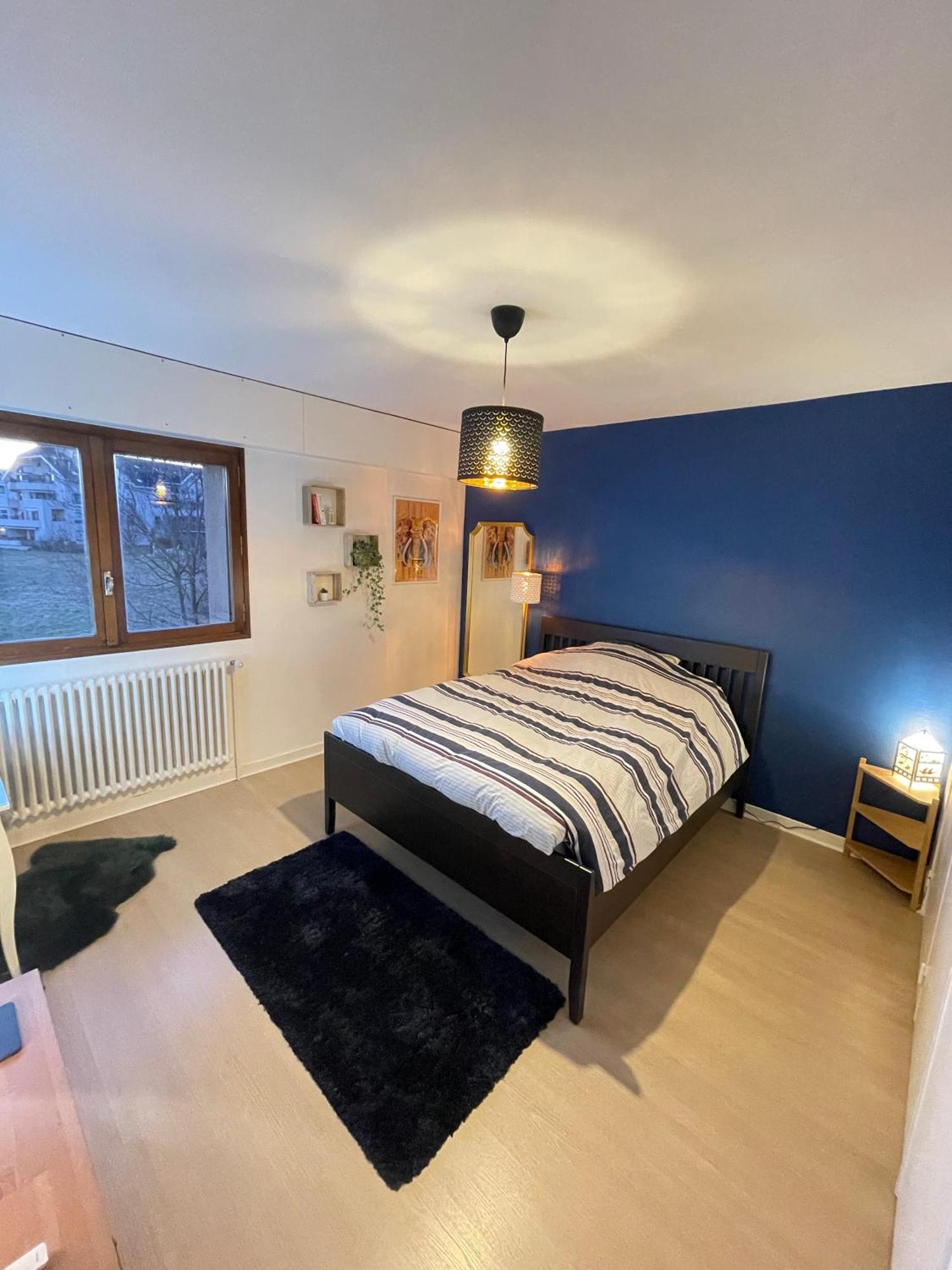 Apartment Tres Cosy A 5 Min Aeroport Geneve Ferney-Voltaire